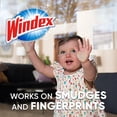 thumbnail image 4 of Windex Powerized Formula Glass/Surface Cleaner 5gal Bag-in-Box Dispenser 696502, 4 of 4