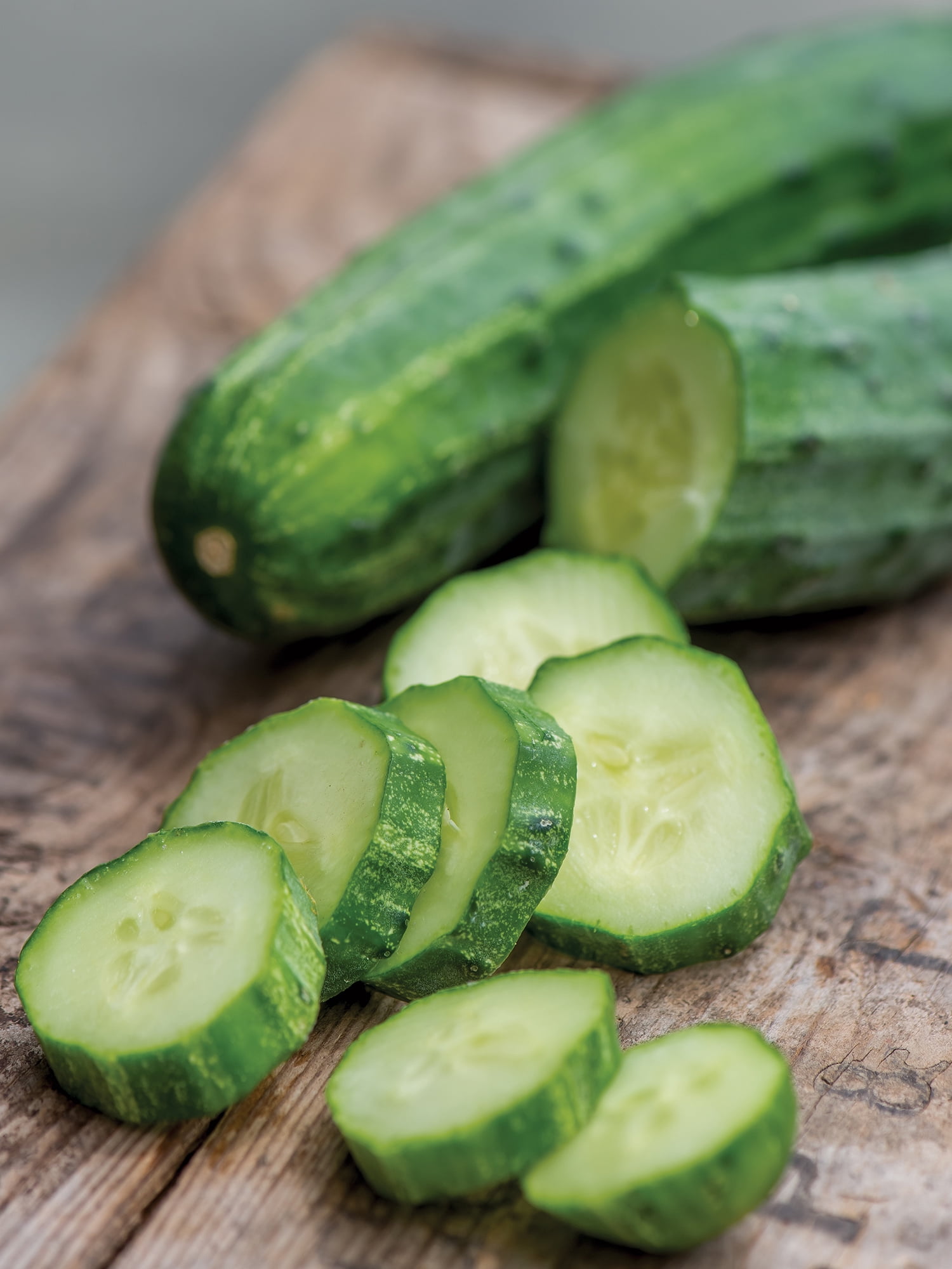 Burpee Bush Champion Concombre, Trancher