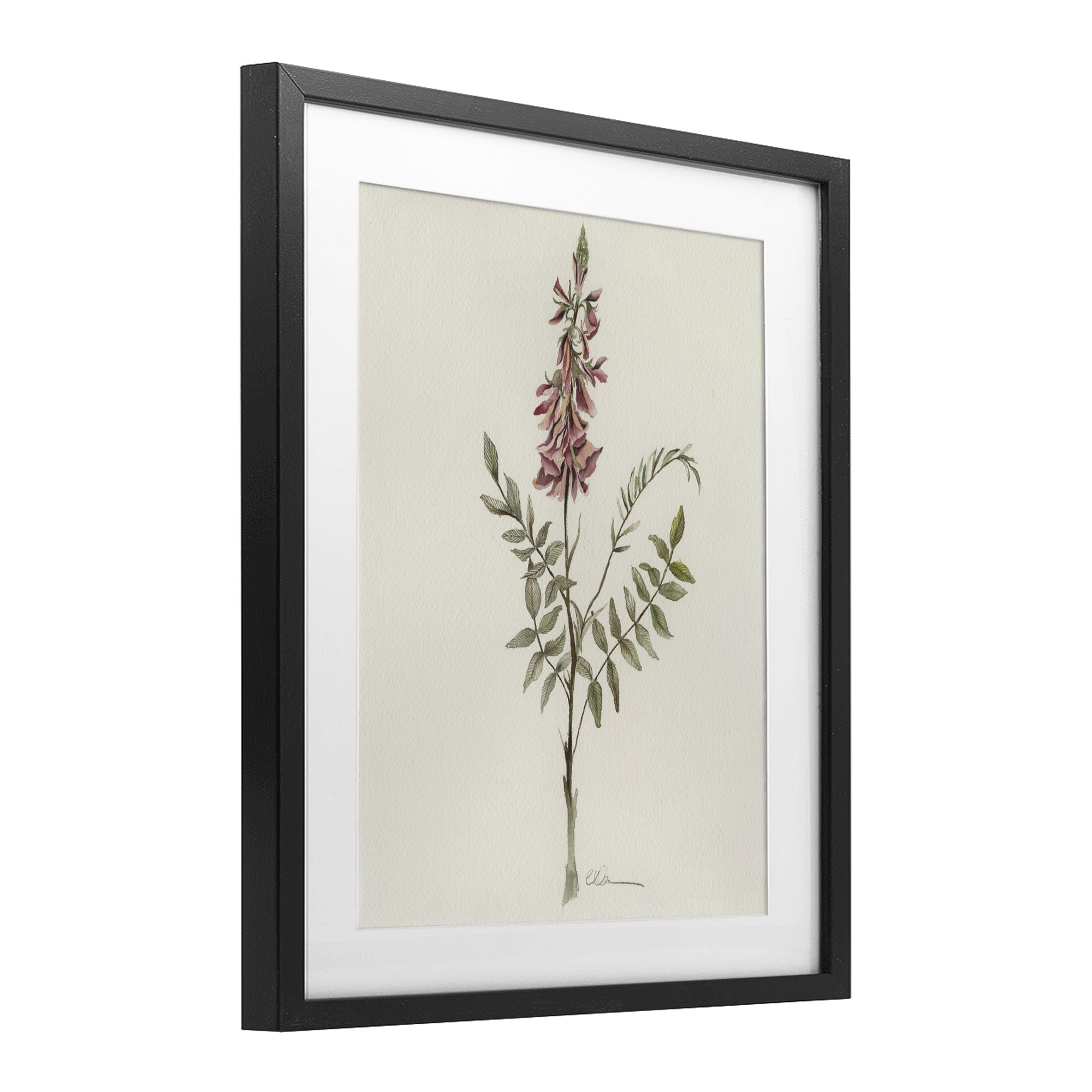 Stupell Industries Nature's Delicate Herb Sprig Black Framed Print Under Glass, design by Cady Driver