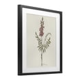 thumbnail image 2 of Stupell Industries Transitional Nature's Delicate Herb Sprig Black Framed Print Under Glass, 13 x 16, by Cady Driver, 2 of 8
