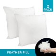 thumbnail image 1 of Ivory Park Premium Feather Replacement Cushion Insert, 24" x 24", 2-Pack, 1 of 3