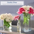 thumbnail image 2 of Enova Home Rectangle Shape Clear Glass Vase 4.0" W x 12.0" H, 2 of 4