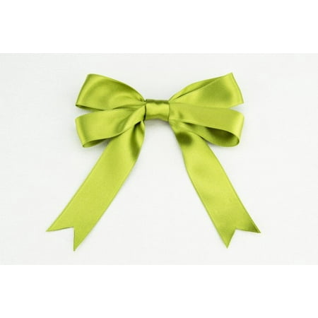 - Ribbon Bazaar Luxious Satin 1 inch Oasis Green 25 yards 100% Polyester Ribbon
