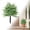 Y, variant on Artificial Lavender Flowers for Outdoors with Ground Stakes 1 Pack, Lifelike Faux Lavender No Maintenance Faux Plants for Porch, Garden, Planters, Patio, Cemetery Decoration