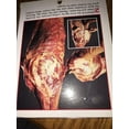 thumbnail image 2 of QUARTERING DEER POCKET GUIDE, 2 of 2