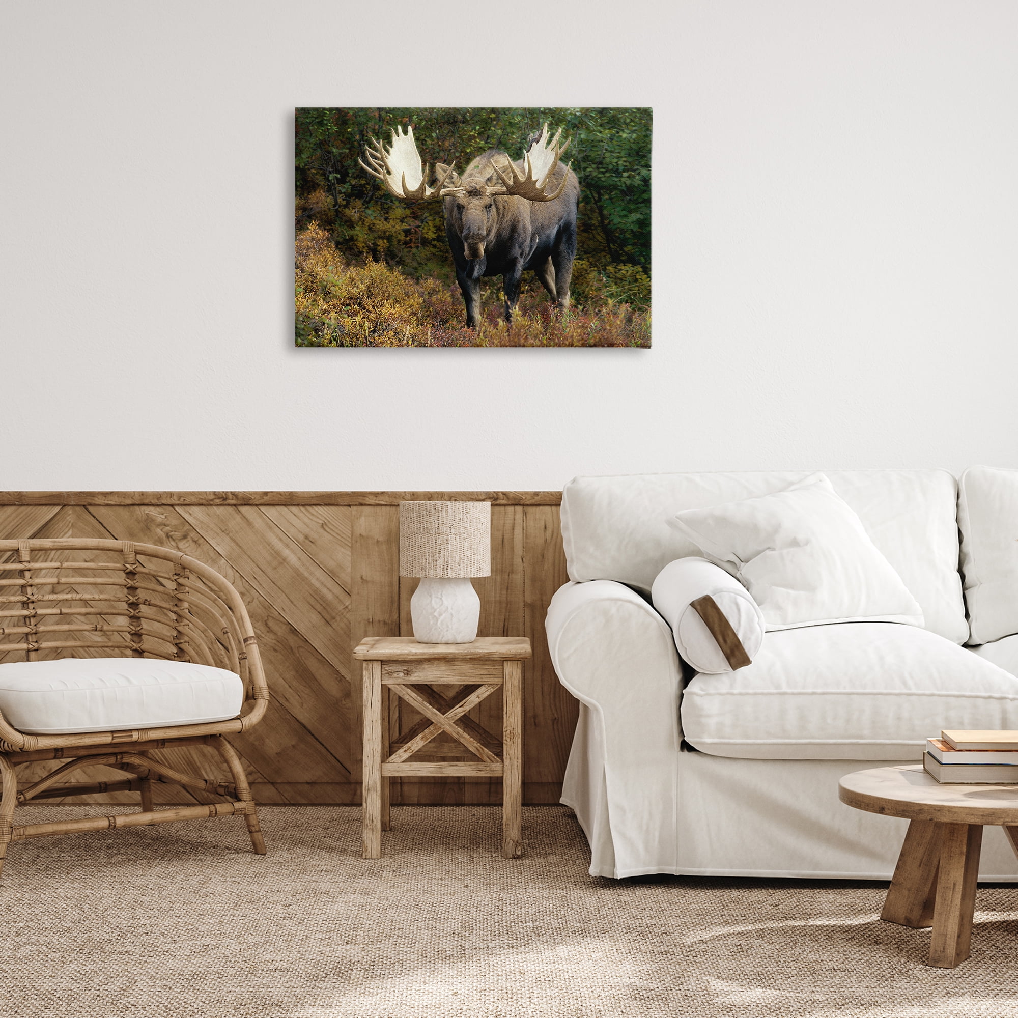 Stupell Industries Bull Moose Face Off Animals Photography Wrapped Canvas Art Print Wall Art, 30 x 20