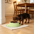 thumbnail image 5 of Tilted Stainless Steel Pet Bowl, 15° Raised Cat and Dog Food Bowl with Non-Slip Base, Feeder for Small to Medium Pets, 5 of 6