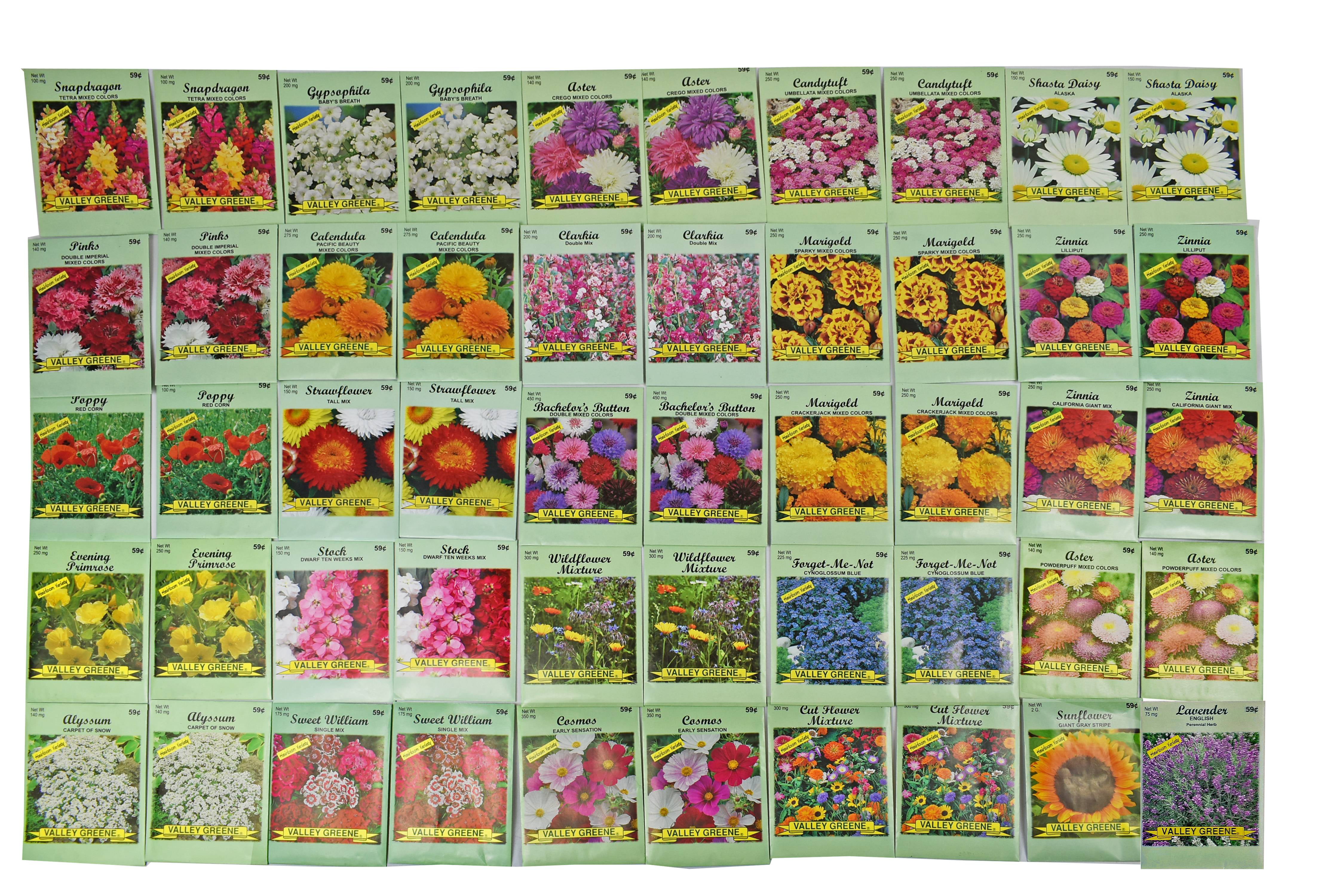 Set of 50 Assorted Valley Green Flower Seed Packets! Flower Seeds in Bulk - 20+ Varieties Available!