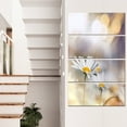 thumbnail image 1 of Chamomiles sur Fond Bleu - Impression sur Toile Florale, 1 of 3
