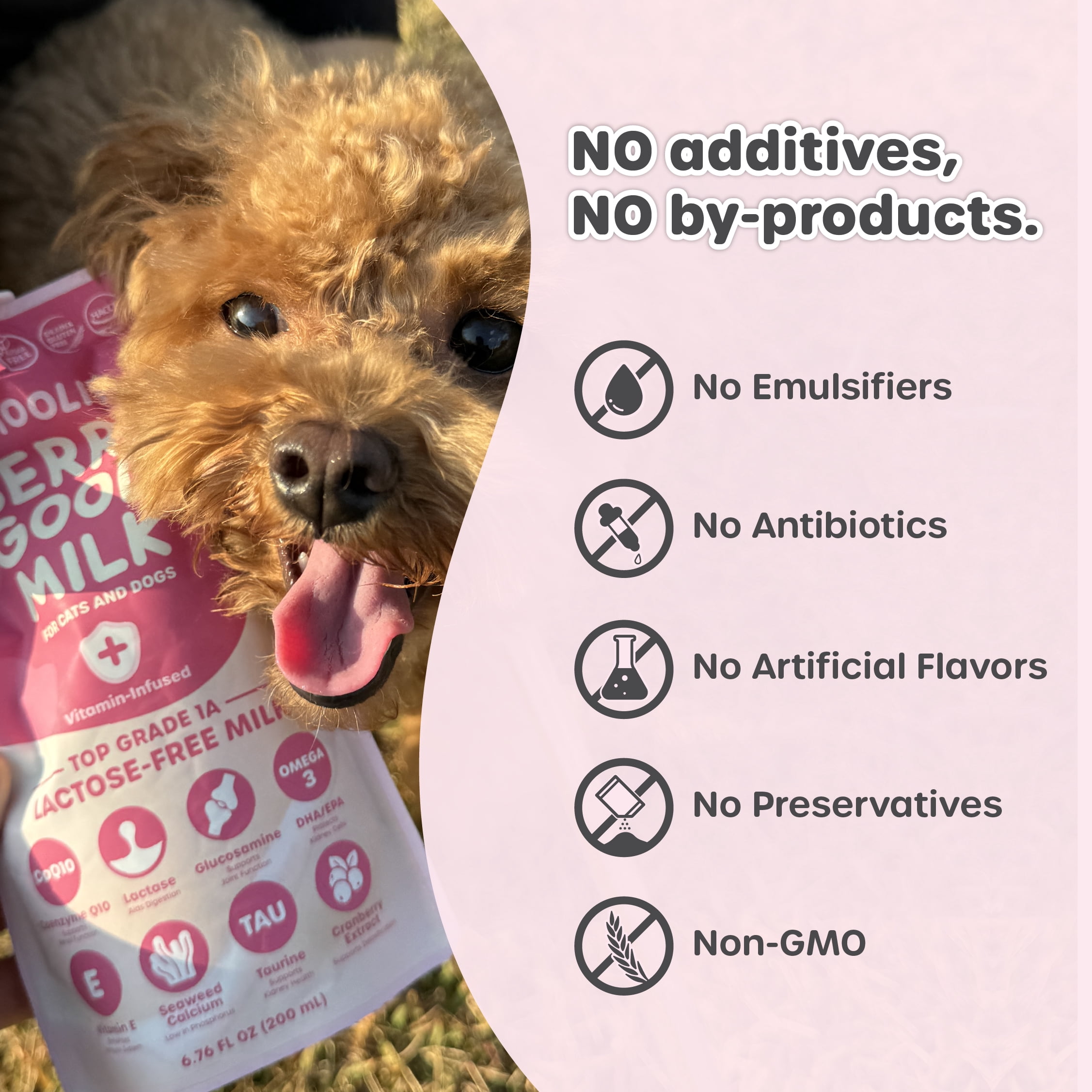 Choolip Berry Good Milk Lactose Free Vitamin Milk for Cats & Dogs, 67.6 fl oz (10 Pack)