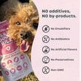 thumbnail image 6 of Choolip Berry Good Milk Lactose Free Vitamin Milk for Cats & Dogs, 67.6 fl oz (10 Pack), 6 of 8