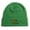 Green, variant on Logo Beanie Winter Hat Youth to Toddler