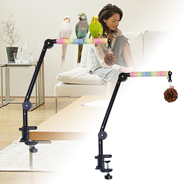 Colorful Parrot Play Stand With Interactive Desktop Bird And Activity For Small Birds