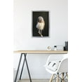 thumbnail image 6 of Curious Burrowing Owlet Wall Poster, 14.725" x 22.375" Framed, 6 of 6