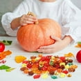 thumbnail image 3 of Naler Fall Vase Filler Bin Filler, Mini Acrylic Fall Table Scatter Fall Leaves Pine Cones Pumpkins for Crafts Vase Fillers Autumn Fall Thanksgiving Home Table Decorations Set, Counters for Kids,2.05", 3 of 6