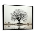 thumbnail image 2 of Designart "Subdued Grey Baobab IV" Tree Baobab Floater Framed Canvas Prints, 2 of 5