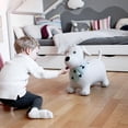 thumbnail image 4 of Kindsgut Bouncy Animal Hopper Dog for children, designed in Germany, playful and modern colors, air pump included, indoors and outdoors, 4 of 6