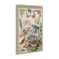 thumbnail image 2 of Stupell Industries Eclectic Butterfly Conservatory Insects Canvas Art, 16 x 24, by Diannart, 2 of 8
