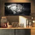 thumbnail image 1 of Design Art - White Tiger, 1 of 4