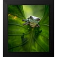 thumbnail image 2 of Maududdin, Fauzan 20x22 Black Modern Framed Museum Art Print Titled - Peek A Boo, 2 of 5