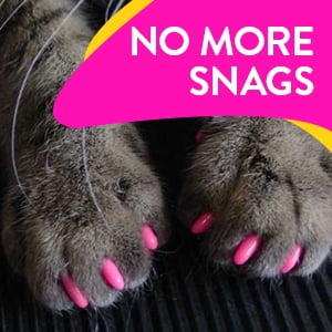 Kitty Caps Nail Caps for Cats | Safe, Stylish & Humane Alternative to  Declawing | Stops Snags and Scratches, Medium (9-13 lbs), White with Pink  Tips & Clear with Pink Glitter 