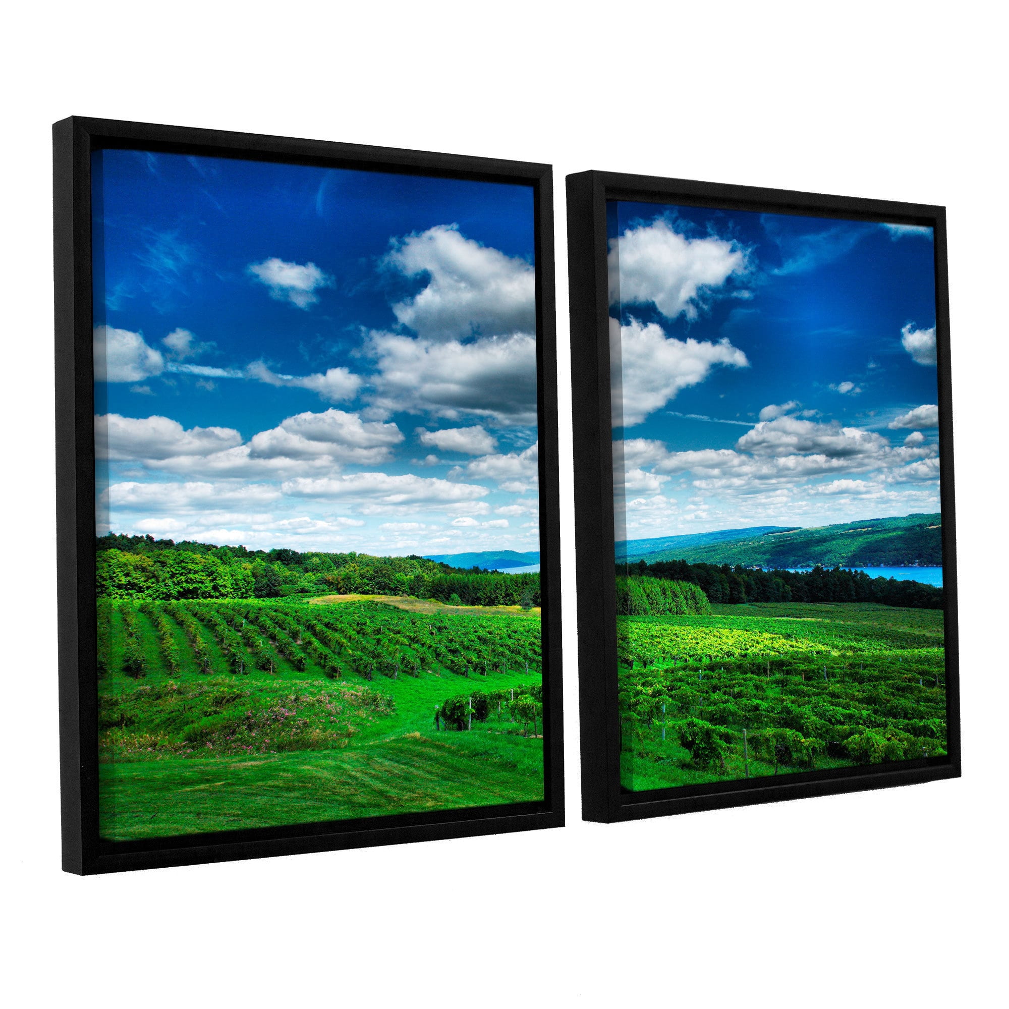 ArtWall Steve Ainsworth "Vineyard and Lake" 2-Piece Floater Framed Canvas Set