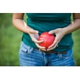 thumbnail image 6 of Triumph Recreational Outdoor Bocce Ball Set Includes 8 Bocce Balls, Jack, and Sports Carry Bag, 6 of 11
