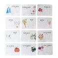 12*1 Pcs Plantable Seed Calendar 2025, From January 2025 to December