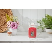 Yankee Candle Art in the Park - 22 oz Original Large Jar Scented Candle