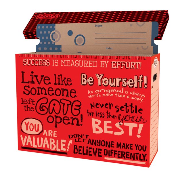 POSTER STORAGE BOX FILE N SAVE SYSTEM ARGUS