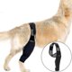 thumbnail image 1 of Rodillera para perros con Acl, dislocación de la rótula, la artritis mantiene la articulación caliente reduce el dolor y la inflamación, 1 of 5
