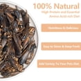 thumbnail image 2 of Grillos liofilizados JADINGSFARM 80 g alimento para reptiles alto en proteína, 2 of 7
