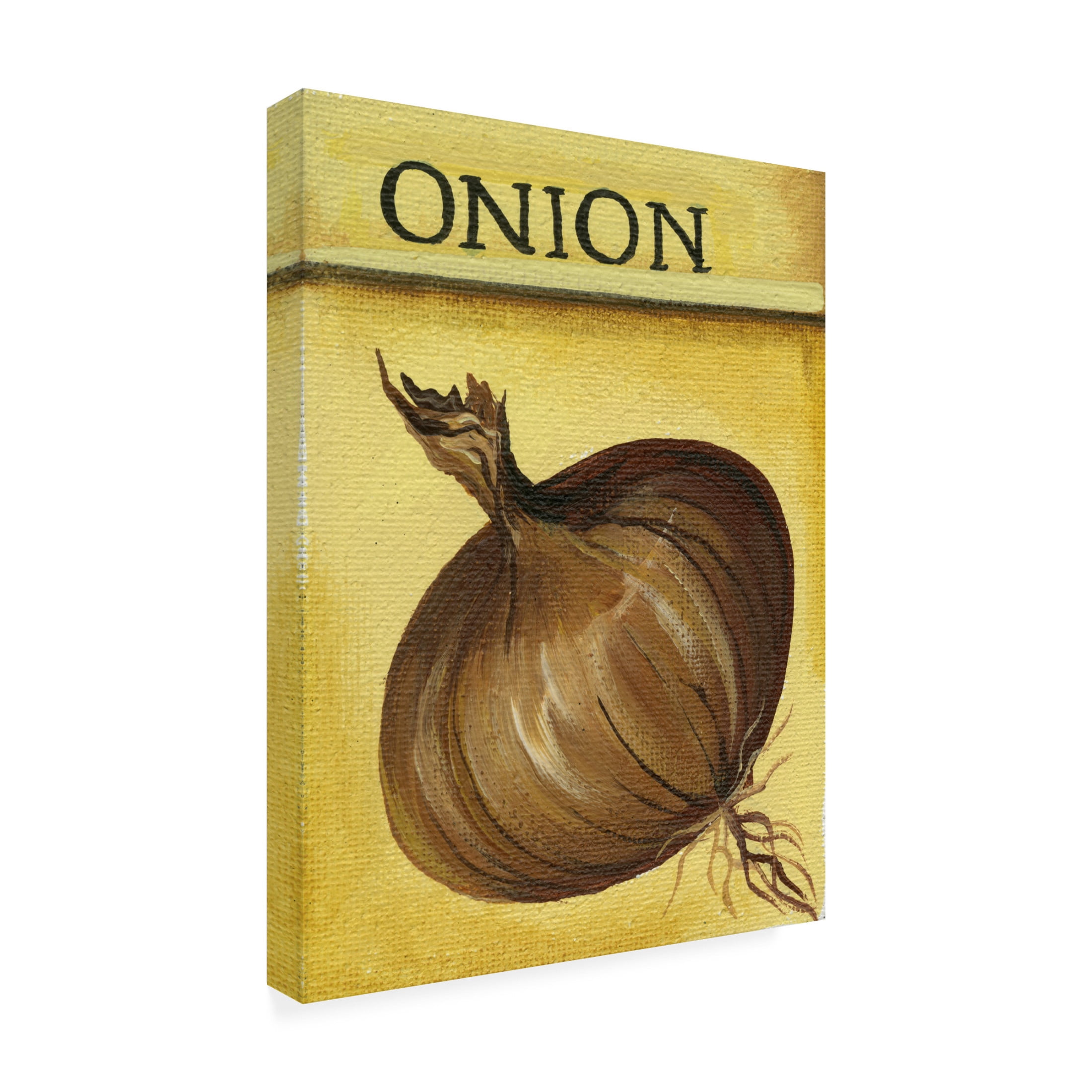 Canvas Wall Art - Debbi Wetzel 'Seed Packets 01 - Onion' Wall Art for Living Room, Bedroom, or Office Décor by Trademark Fine Art - 14 x 19 Inches