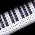thumbnail image 1 of Coofit Piano Sticker Removable Piano Label Piano Key Sticker for 37/49/54/61/88 Keys, 1 of 2