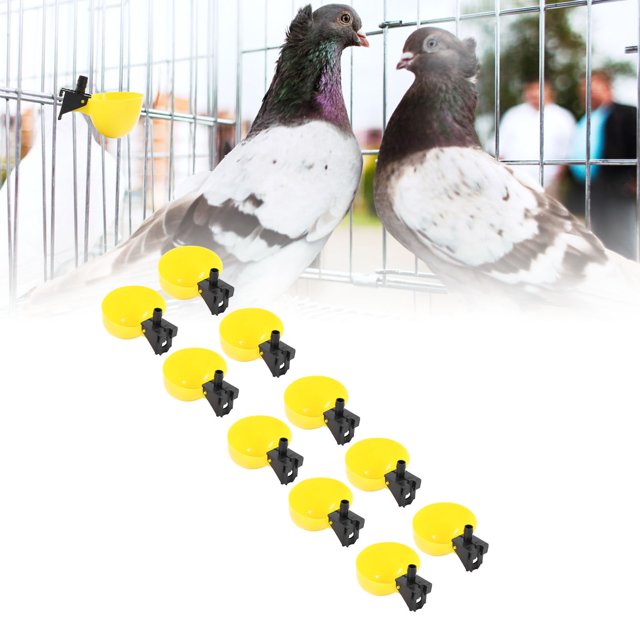 Waterer 10pcs automático avesanero abuela material capacidad pp bebidor de agua de aves para codorniz de pollo