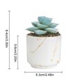 thumbnail image 2 of maskred 4pack/lot Exquisite Crafted Succulent Plant With Good Hand Feeling - Realistic Appearance Non-toxic ES1438-15, 2 of 6