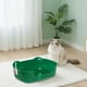 thumbnail image 4 of Caja de arena para gatos, grande, a prueba de derrames, bandeja de arena de una pieza completamente abierta, suministros para mascotas, gelatina integrada, verde manzana, 4 of 6