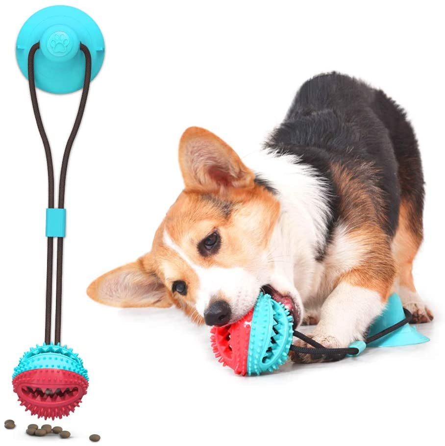 dog pulling toy sticks to floor