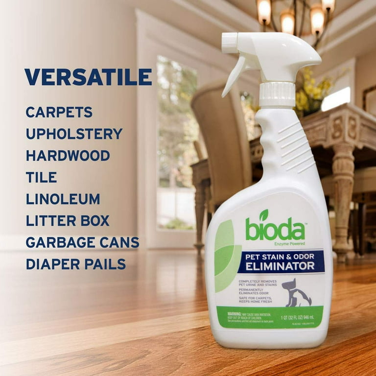 Can Dog Urine On Carpet Cause Mold