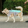 thumbnail image 4 of Summer Dog Vest Breathable Mesh Harness Jacket with Reflective Stripe for Outdoor Activities, 4 of 4