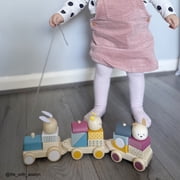 Bigjigs Toys - Activity Pull Along Train