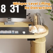 55 Electric Standing Desk, Height Adjustable Sit Stand Desk with Storage, Computer Desk