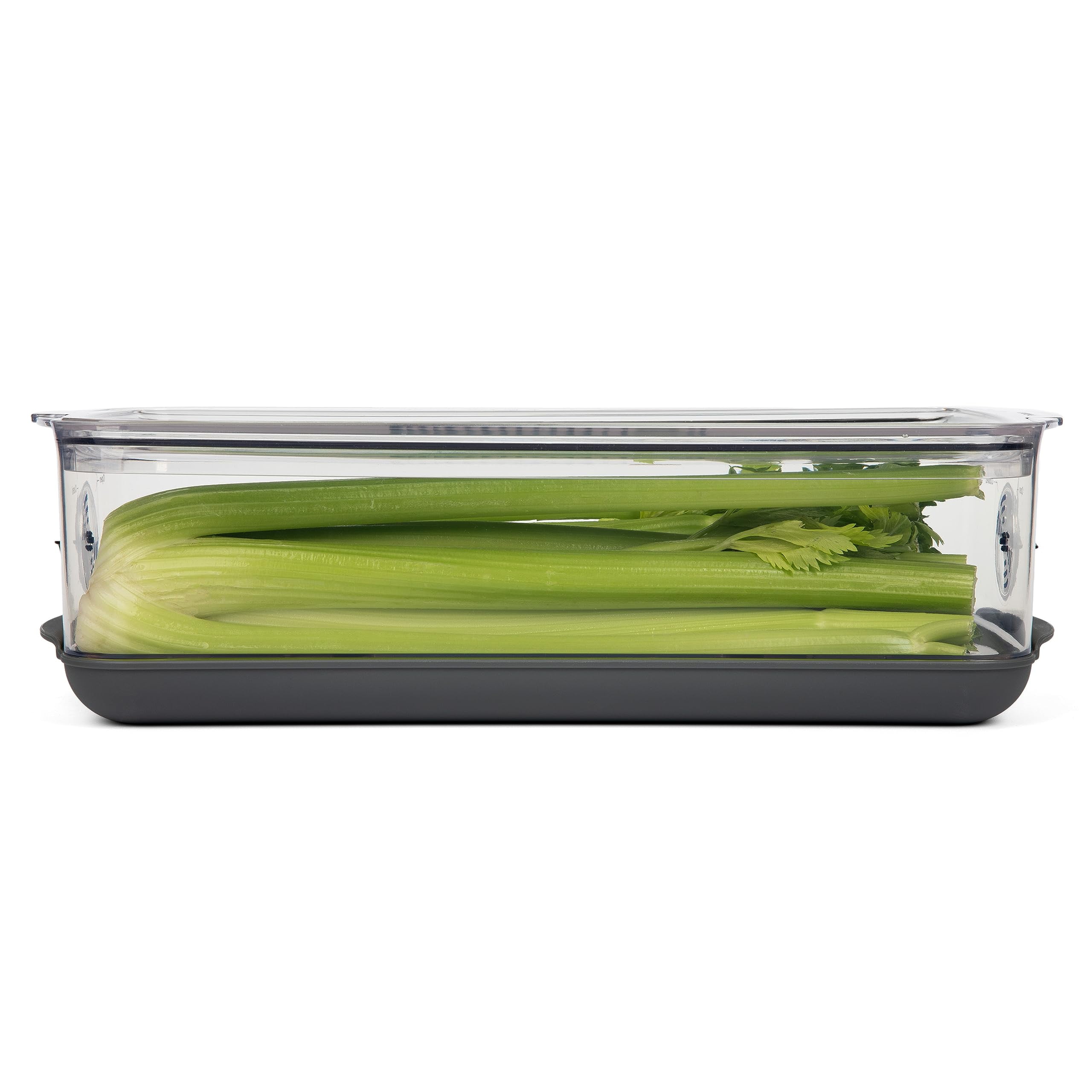 ProKeeper+ by Progressive Stackable Produce ProKeeper Storage Container with Stay-Fresh Vent System (PKS-917 (5.7qt Long Produce))