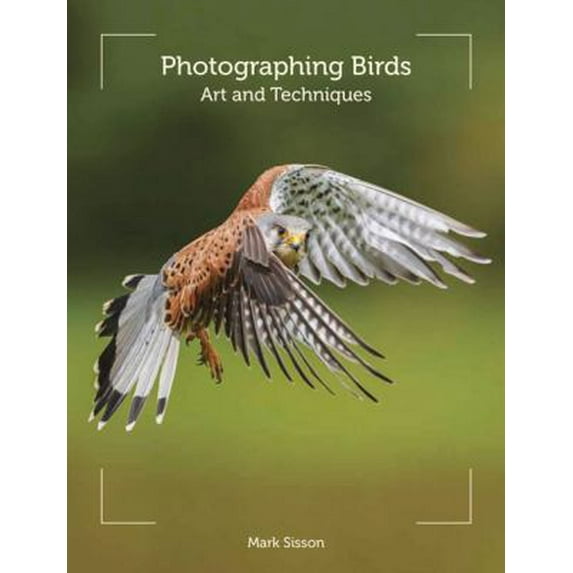 Pre-Owned Photographing Birds: Art and Techniques (Paperback) 1847977138 9781847977137