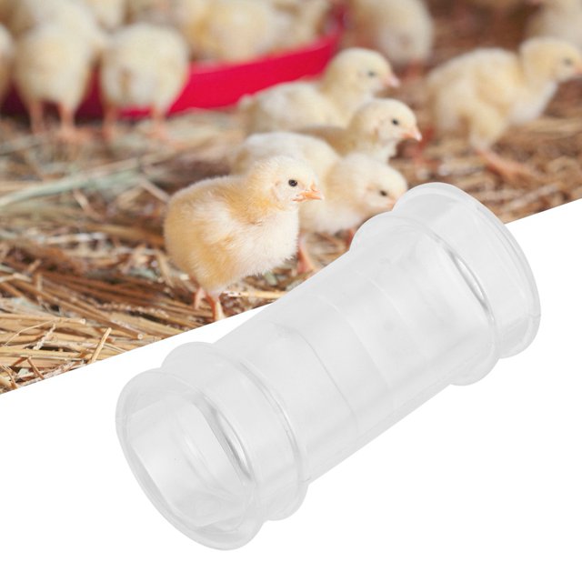 Livestock Drinking Connector 7.3 X 3.5cm Feeding Drinking Accessory, Chicken Drinking Connector Connecting With Drinking Bowl, Livestock Goose for Chicken White