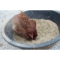 thumbnail image 3 of Pampered Chicken Mama Floral Dust Bath with Non-GMO Herbs: All Natural Poultry Supplies for Hens Who Love Bathing in Chicken Coops - Pick Me Up Floral Dust Bath (10 pounds), 3 of 6