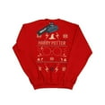 thumbnail image 1 of Harry Potter Boys Christmas Pattern Sweatshirt, 1 of 3