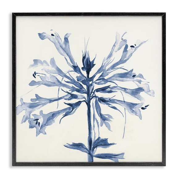 Stupell Industries Transitional Modern Blue Flower Black Framed Giclee Art, 24 x 24, by Liz Jardine