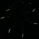 thumbnail image 4 of 6 anzuelos luminosos suaves para pesca de bacalao, para deportes de atracción. 14, 4 of 7