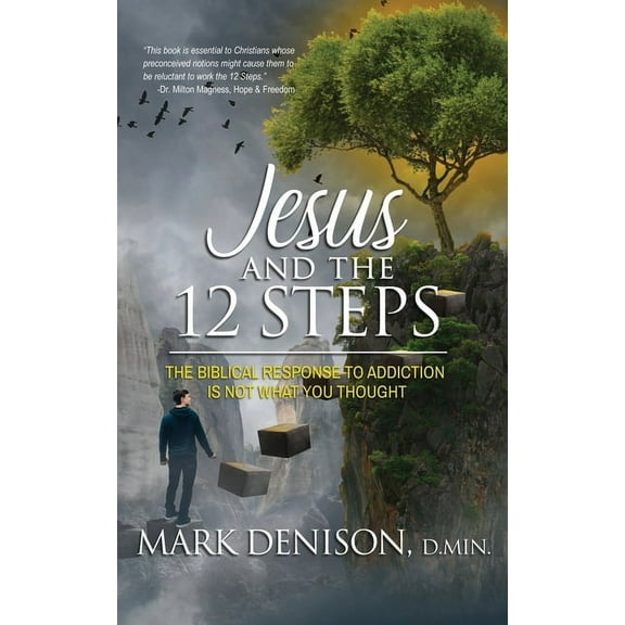 Jesus and the 12 Steps (Paperback)